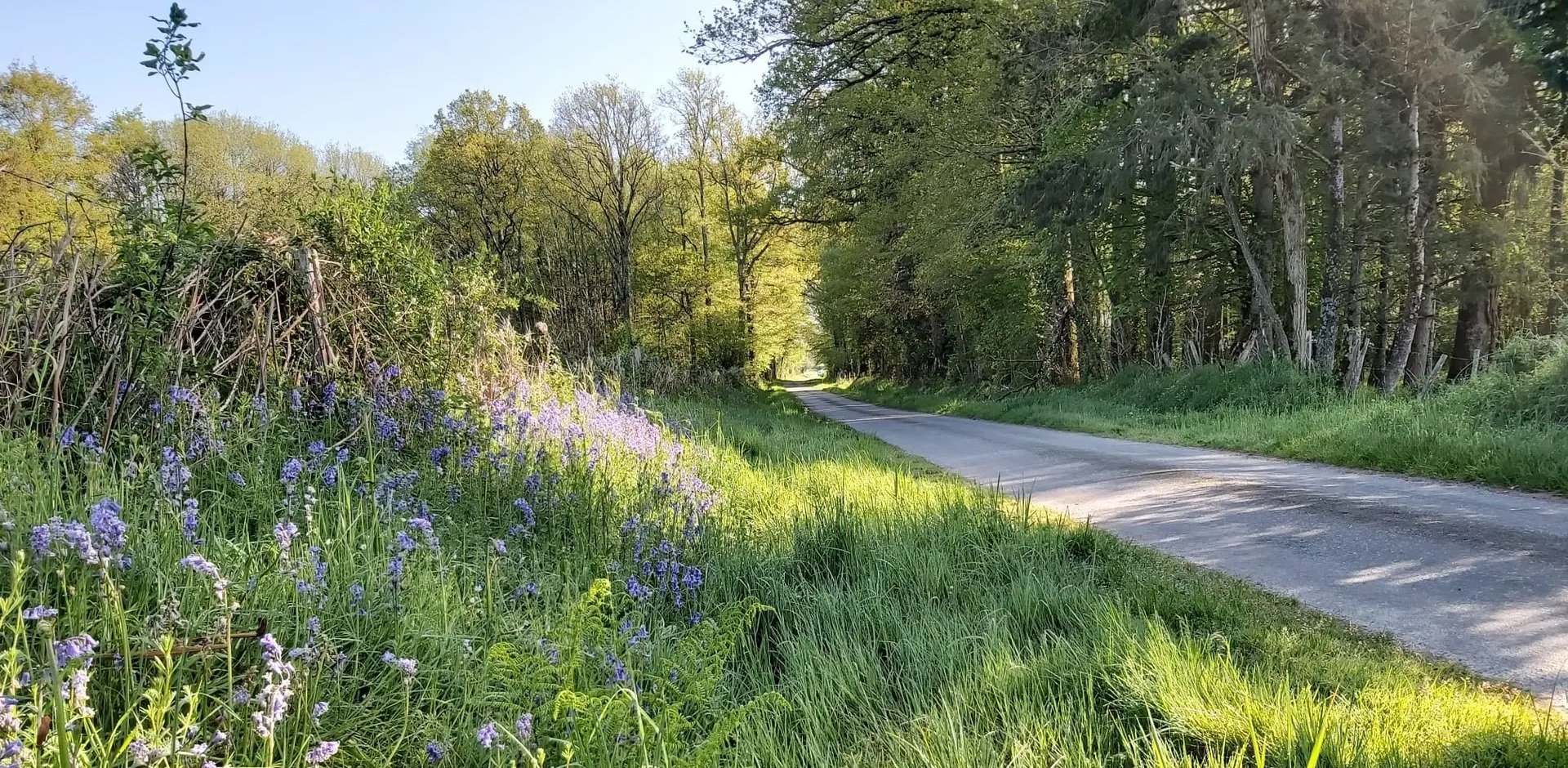 Le Chemin Rural à côté de la maison.